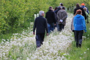 Menschen im Wald