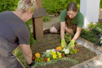 Zwei Personen bepflanzen ein Grab