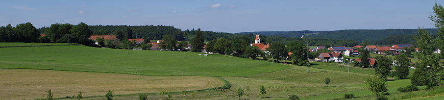 Landschaft mit Ort im Hintergrund