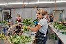 Studierende erstellen ein Gesteck mit Blumen aus dem Garten