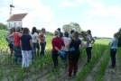 Der Anbau von Getreide lässt sich besser auf dem Feld erklären