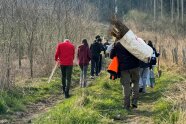 Mehrere Personen laufen mit Waldpflanzen und Schaufeln einen Waldweg entlang