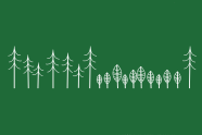Die Grafik zeigt, dass regelmäßig Bäume entnommen werden müssen, um dem nachwachsenden Bestand Licht zu geben.