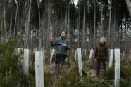 Förster und Waldbesitzerin stehen auf einer Waldfläche mit jungen, geschützten Bäumen.