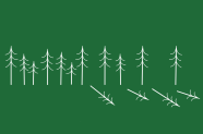 Grafik zeigt die Entnahme einzelner Bäume
