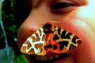 Schmetterling auf Kindergesicht