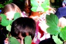 Kinder unter Blättern