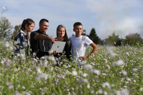 Vier Personen mit Laptop auf einer Blumenwiese