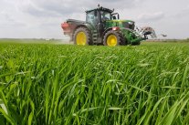 Teilflächenspezifische Stickstoffdüngung auf Dinkelfeld