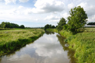 Bachlauf mit Wiesen und Sträuchern an den Ufern